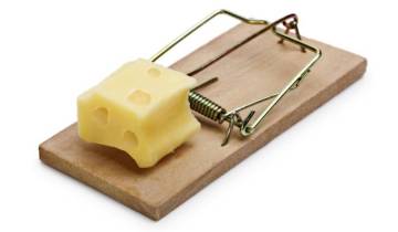 Mousetrap with cheese incentive