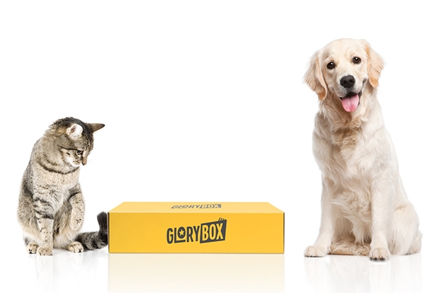 Фото GloryBox