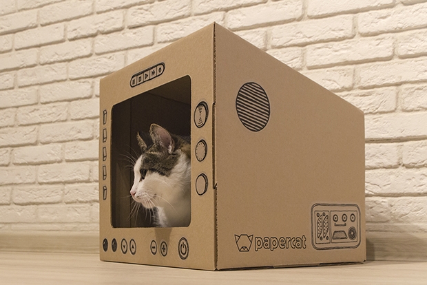 Фото Papercat