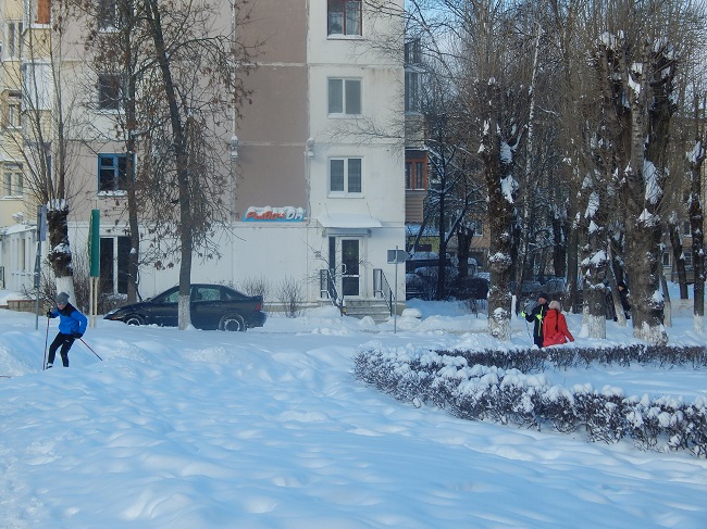 снег 2016
