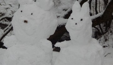 снег