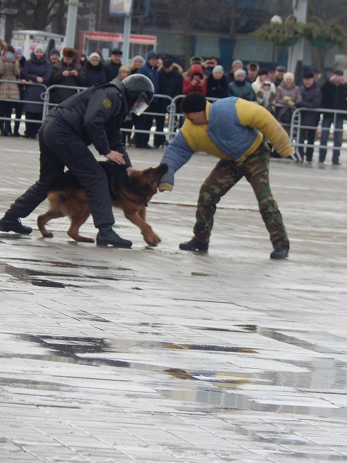 милицейский пес