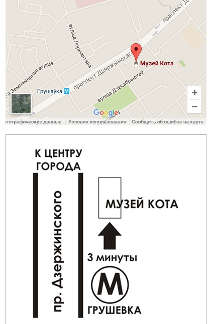 По этому адресу можно найти Музей Кота