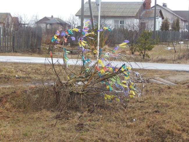 волшебное дерево, улица счастливая, тулово-1