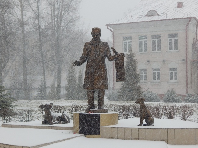 памятник ветеринару в Витебске, Ветеринарная Академия, 