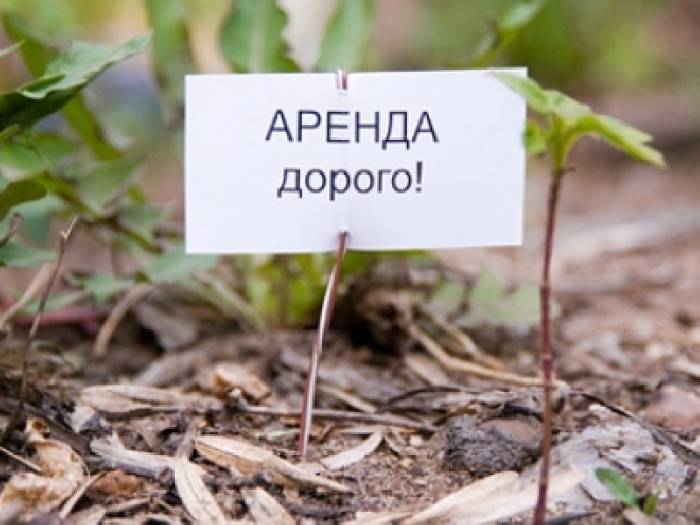 Фото: vladnews.ru