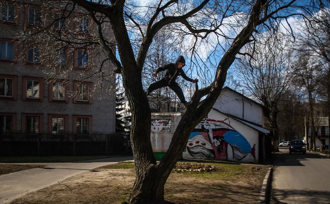 Мальчик лазает по дереву во дворе дома по улице Кирова. Фото Сергей Гудилин. nn.by