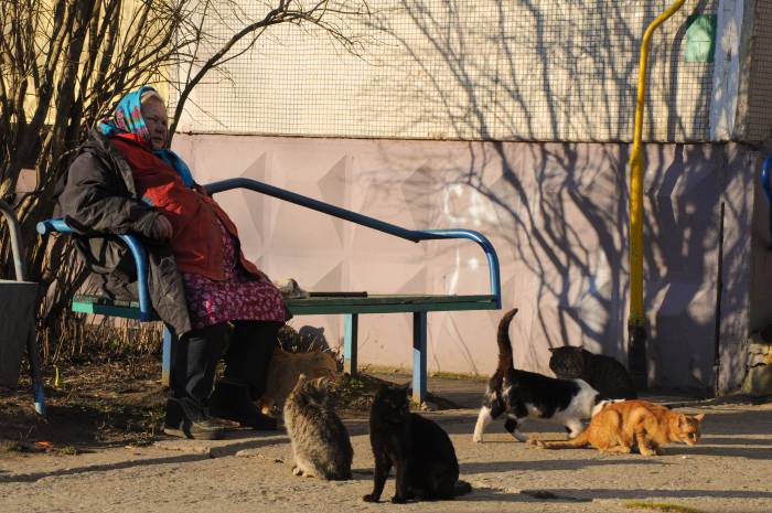 .... когда бабушки сидят у подъезда. Фото Анастасии Вереск