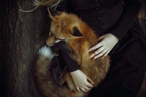 По средневековым представлениям, лиса выступала помощником ведьмы не реже, чем кот. Фото 40.media.tumblr.com