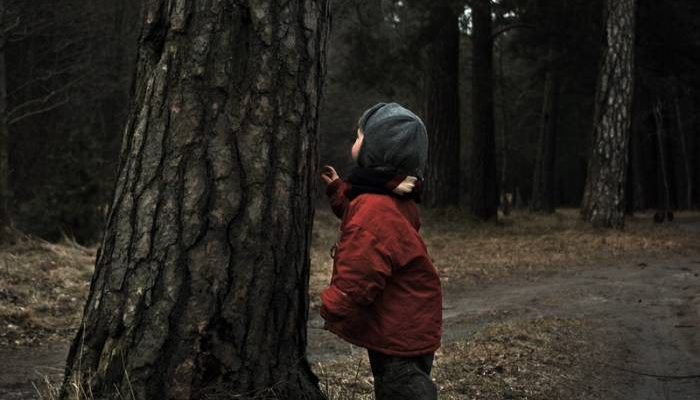 ребенок, заблудился в лесу