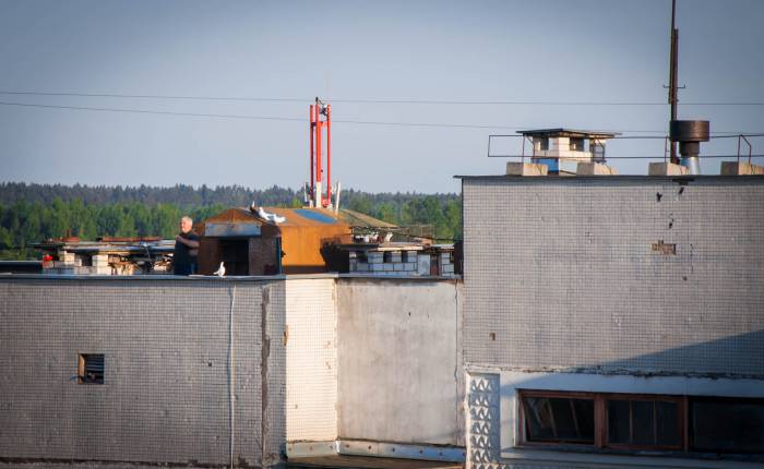 С крыши можно увидеть то, что скрыто от чужих глаз. Фото Анастасии Вереск