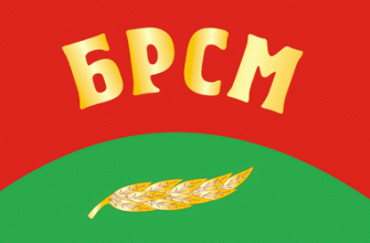 брсм, дети, молодежь, витебск