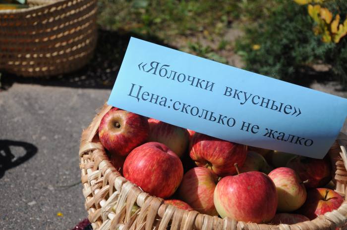 Яблок в этом году - завались. Фото Анастасии Вереск