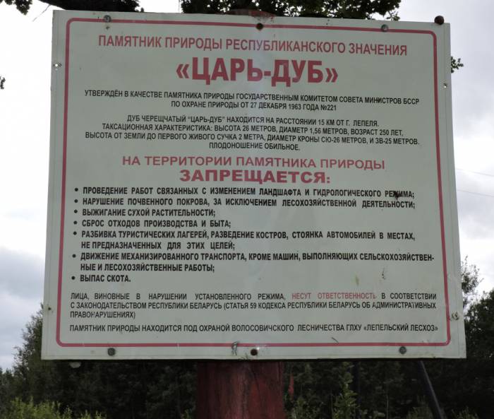 лепель, тадулино, "царь-дуб"