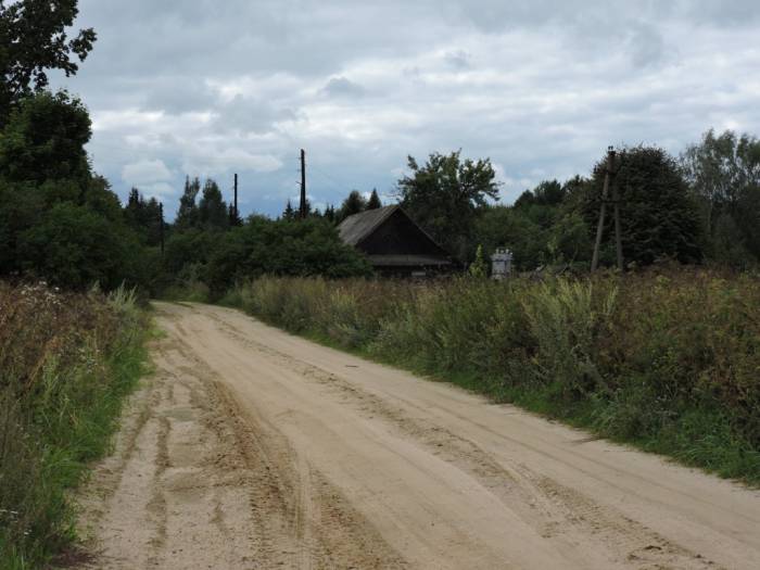 лепель, тадулино, "царь-дуб"