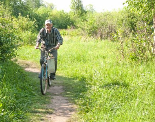 лес, велосипед, грибы