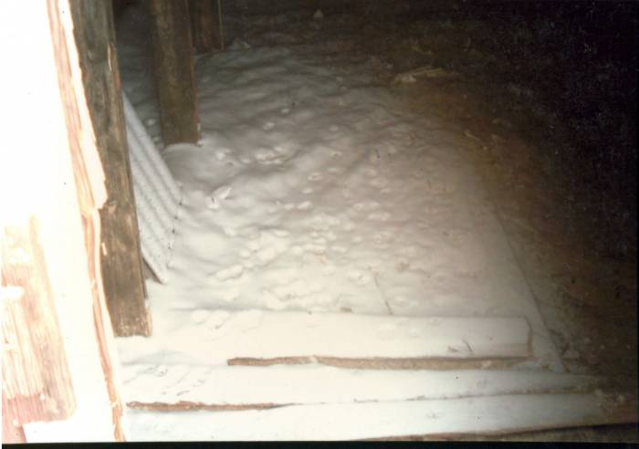 Снег долго лежал на чердаке и медленно таял. Фото из личного архива Зинаиды Шиманской