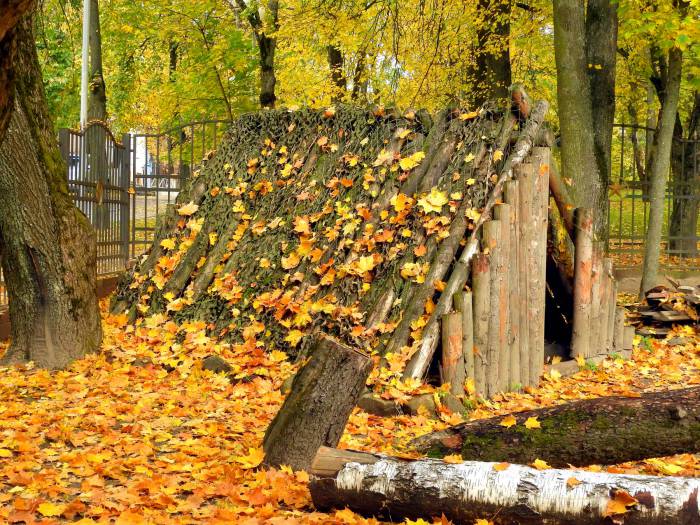 Осень в парке музея Шмырева