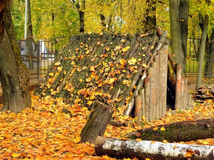 Осень в парке музея Шмырева