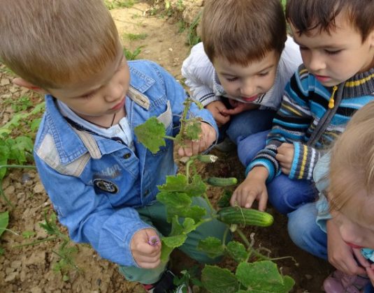 дети, многодетная семья