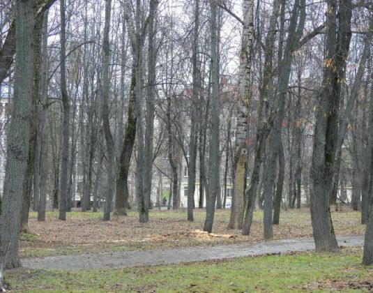 парк Партизанской славы