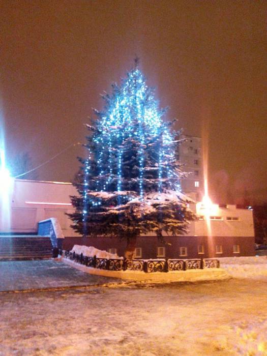 Ёлки по городу мчатся, счастье разносят людям. Фото Анастасии Вереск