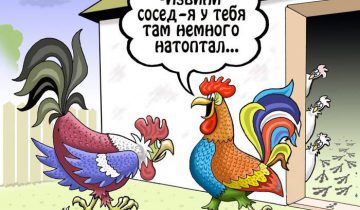 анекдот петух