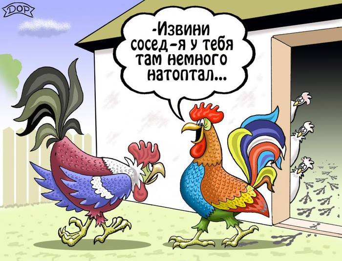 анекдот петух