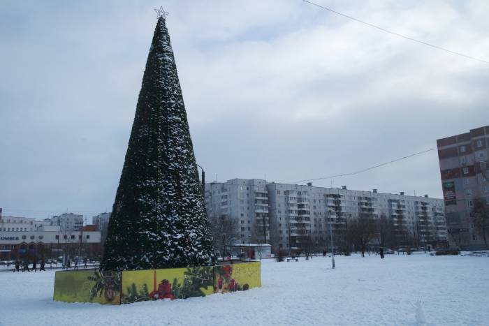 Пятиконечная звезда украшает ёлку на проспекте Строителей. Фото Анастасии Вереск