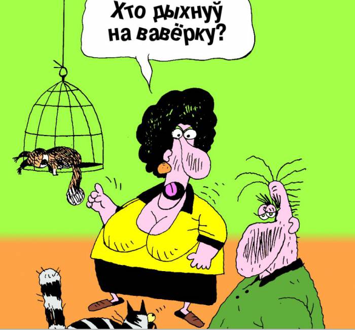 вожык