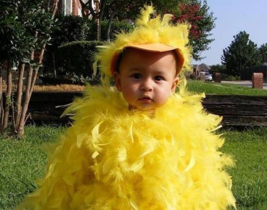 цыпленок ребенок