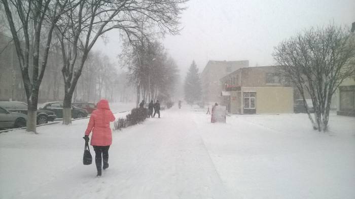 Снегопад в Новолукомле. Фото Анастасии Вереск