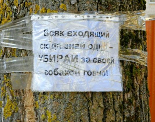 площадка для собак