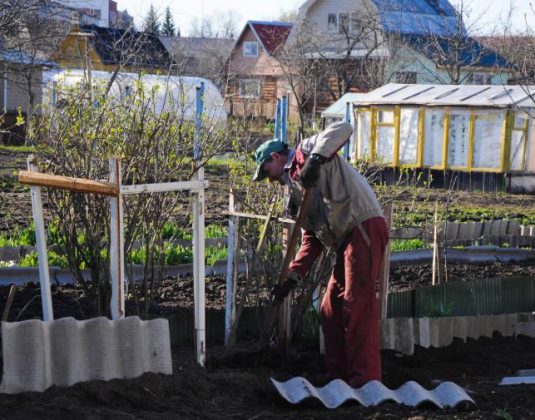 весна, дача, огород