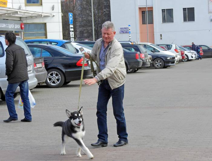 Дмитрий