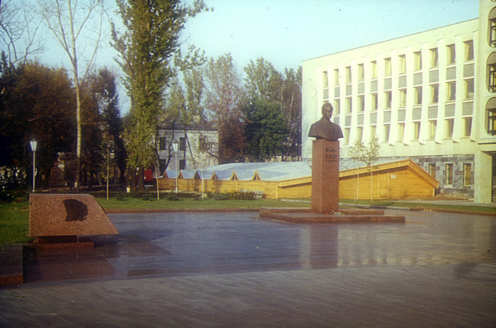 Временный навес над раскопом 1982 года, предназначенным для музеефикации. Фото evitebsk.com