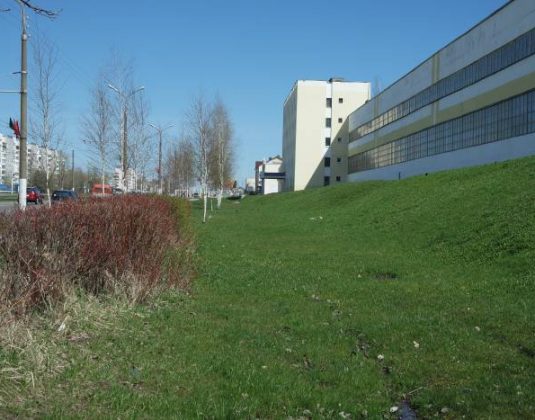 Петруся Бровки