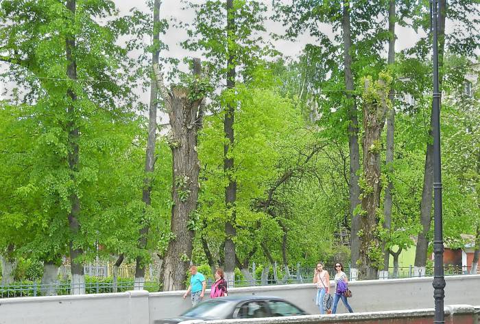 улица Некрасова