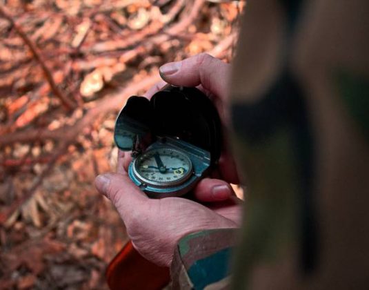 лес компас заблудился