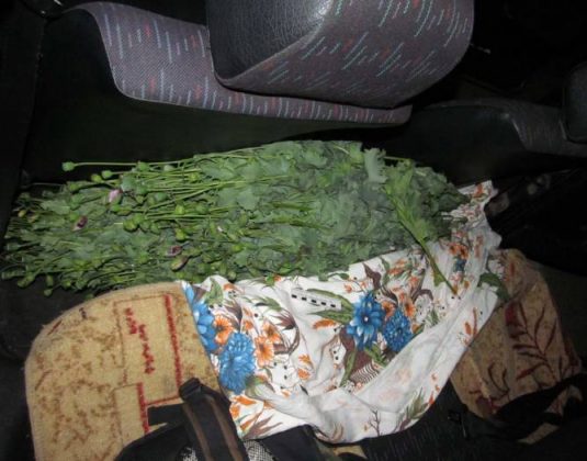 мак наркотик