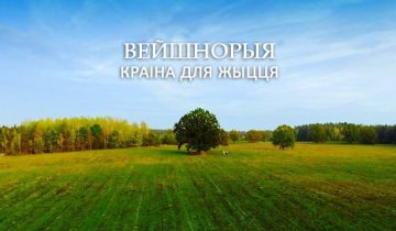 А вот и мемы. Источник vk.com/majakrainabelarus
