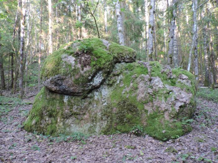 лепель, камень, огромный