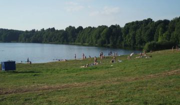 Вороны