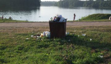 Вороны