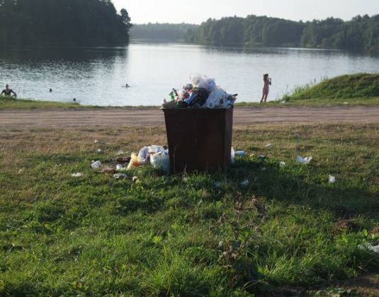 Вороны