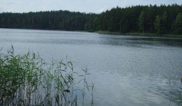 Фото Ольга Витебская