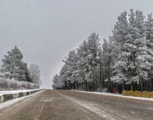 дорога шумилино зима