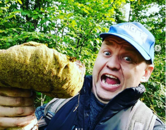 грибы, лес, фотография, Instagram