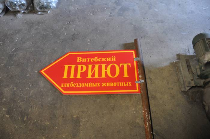 Пока что указатель находится в приюте. Фото Анастасии Вереск