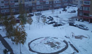 первый снег